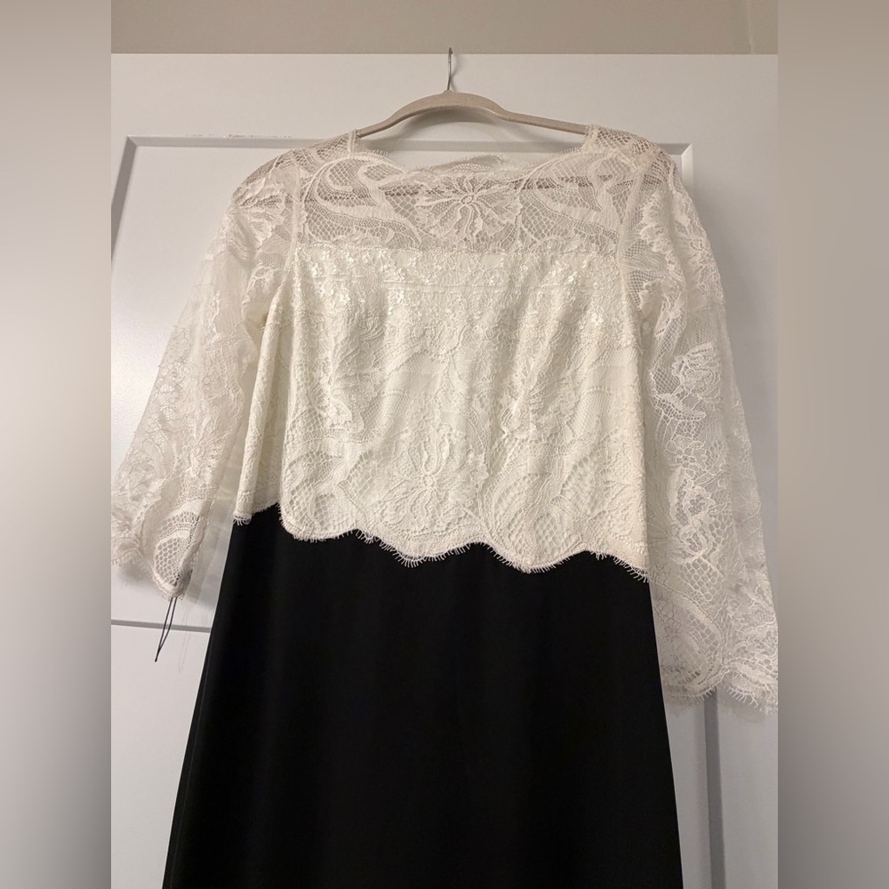 New Tadashi Shoji Lacecrepe Gown in Ivory and Black - Picture 8 of 10